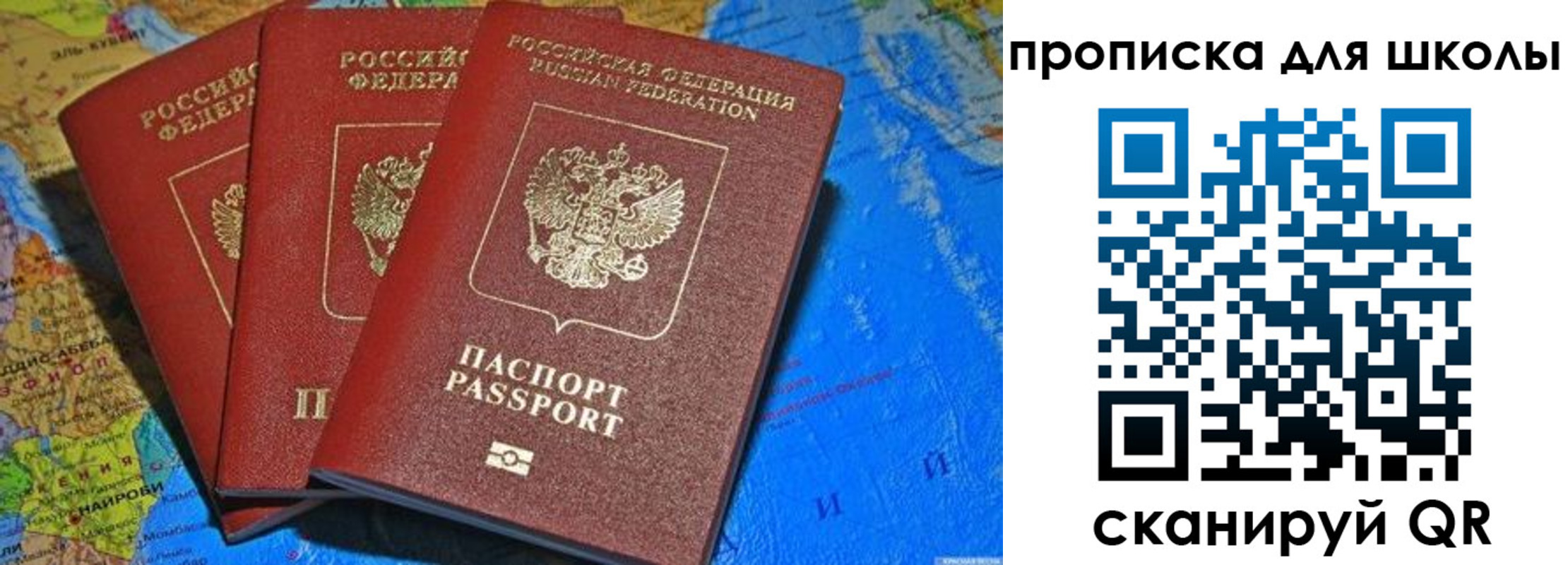 прописка в квартире в Чкаловске
