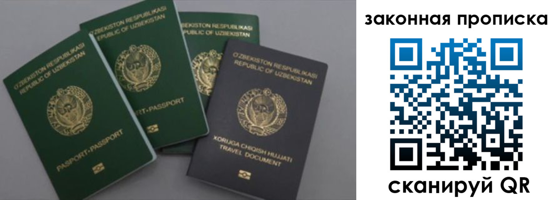 прописка законно в Чкаловске